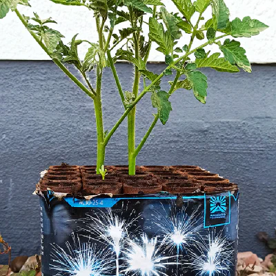 Wie ehrlich argumentiert die Deutsche Umwelthilfe gegen Feuerwerk?